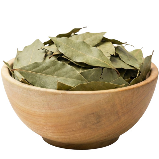 zBX20cntJ7V5JZs5x512